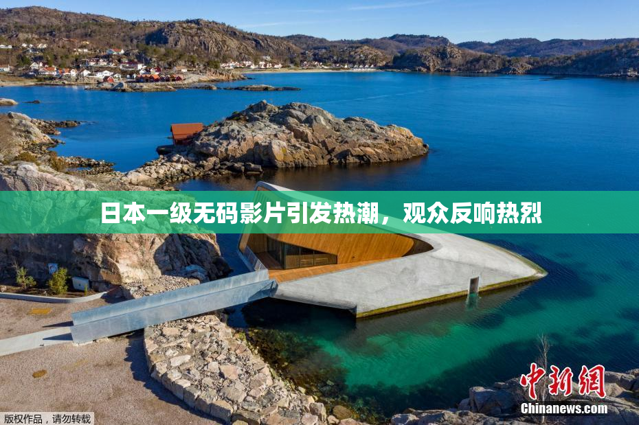 日本一级无码影片引发热潮，观众反响热烈