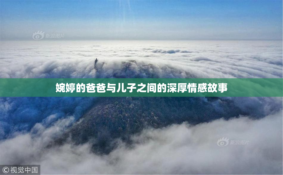 婉婷的爸爸与儿子之间的深厚情感故事