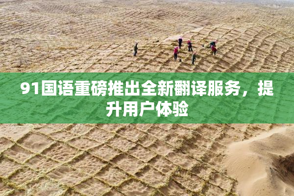 91国语重磅推出全新翻译服务，提升用户体验