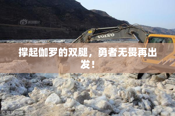撑起伽罗的双腿，勇者无畏再出发！
