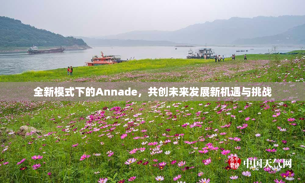 全新模式下的Annade，共创未来发展新机遇与挑战