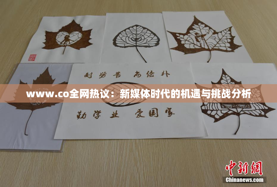 www.co全网热议：新媒体时代的机遇与挑战分析
