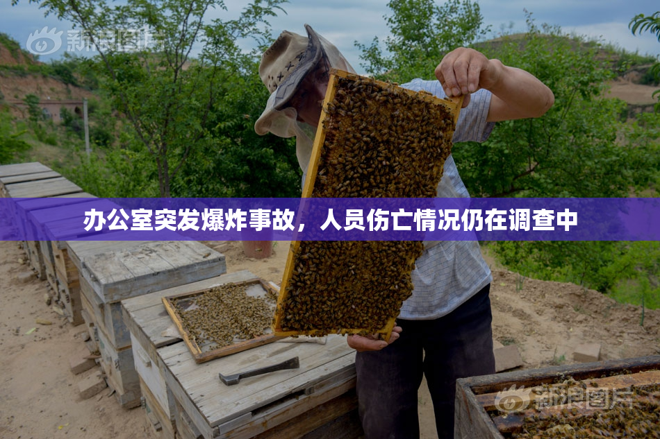 办公室突发爆炸事故，人员伤亡情况仍在调查中