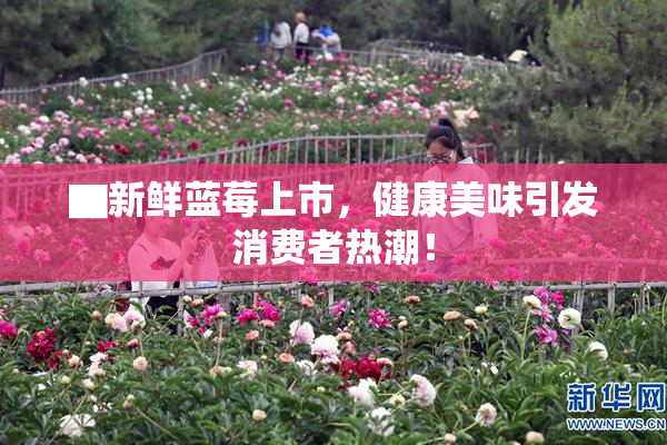 ▇新鲜蓝莓上市，健康美味引发消费者热潮！