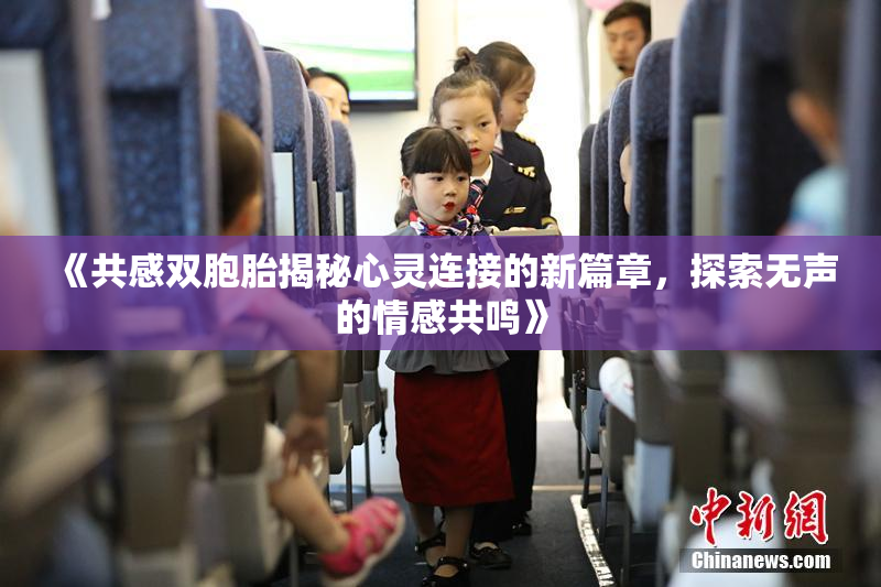 《共感双胞胎揭秘心灵连接的新篇章，探索无声的情感共鸣》