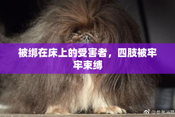 被绑在床上的受害者，四肢被牢牢束缚