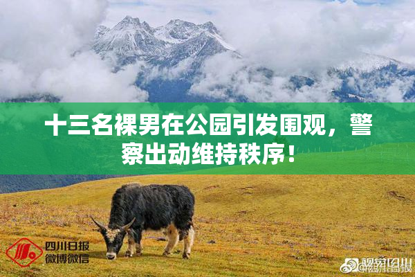 十三名裸男在公园引发围观，警察出动维持秩序！