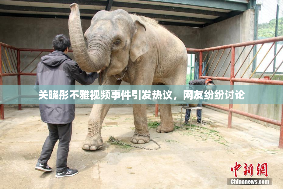 关晓彤不雅视频事件引发热议，网友纷纷讨论