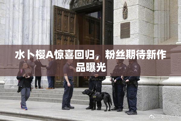 水卜樱A惊喜回归，粉丝期待新作品曝光