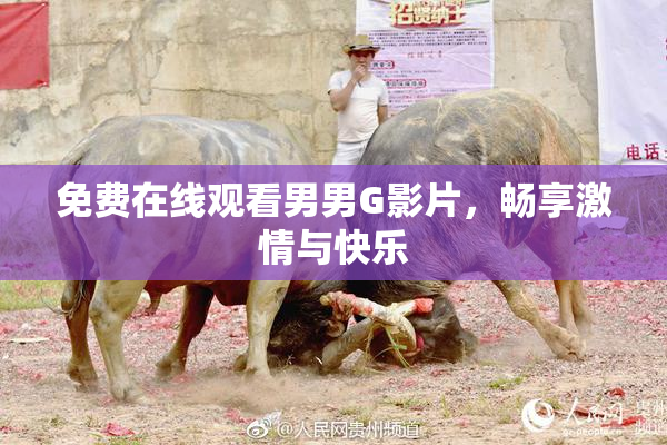 免费在线观看男男G影片，畅享激情与快乐