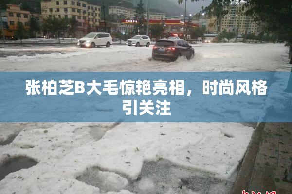 张柏芝B大毛惊艳亮相，时尚风格引关注