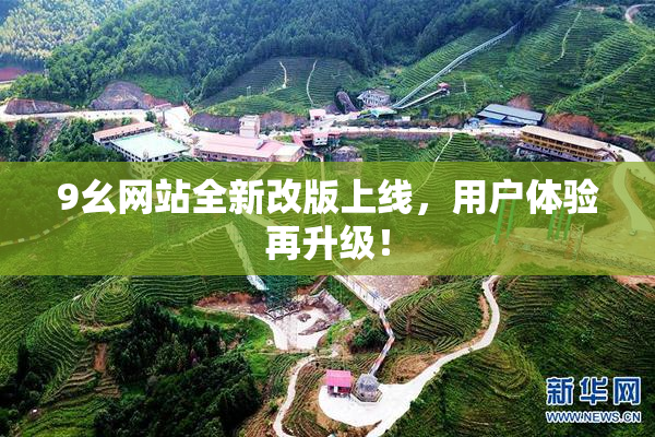 9幺网站全新改版上线，用户体验再升级！