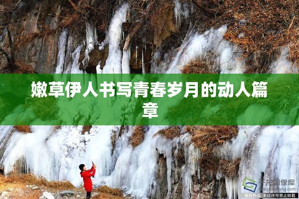 嫩草伊人书写青春岁月的动人篇章
