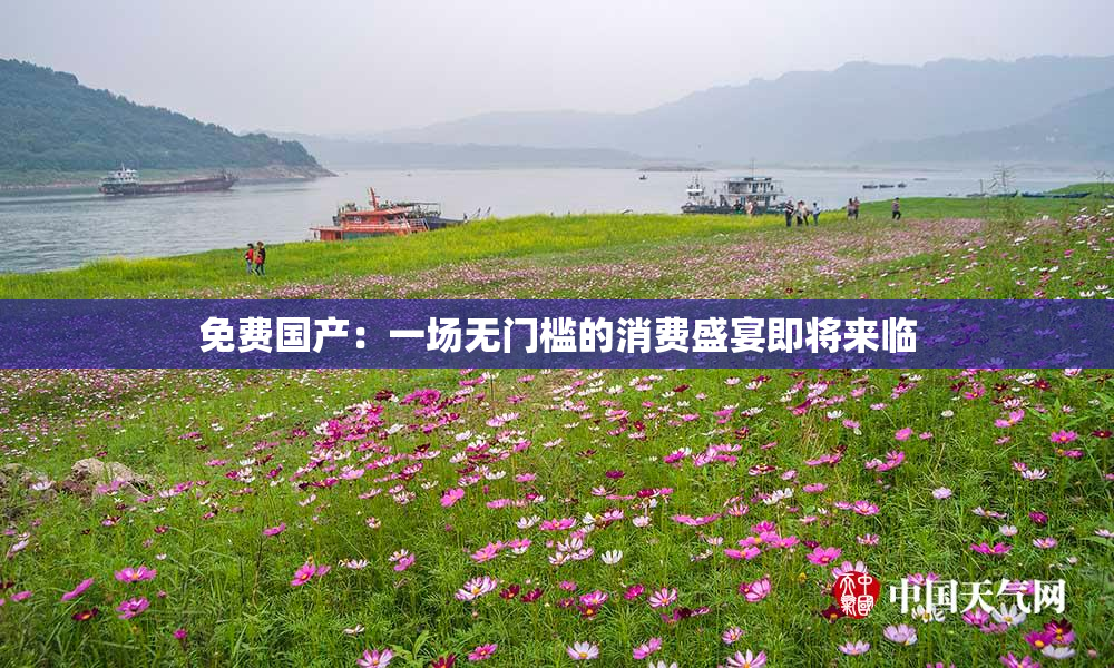 免费国产：一场无门槛的消费盛宴即将来临
