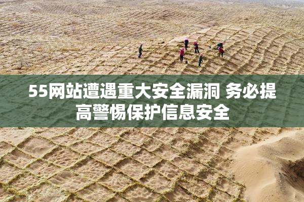 55网站遭遇重大安全漏洞 务必提高警惕保护信息安全
