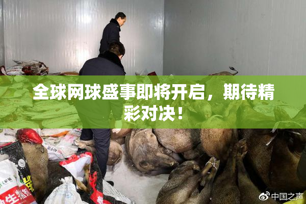 全球网球盛事即将开启，期待精彩对决！
