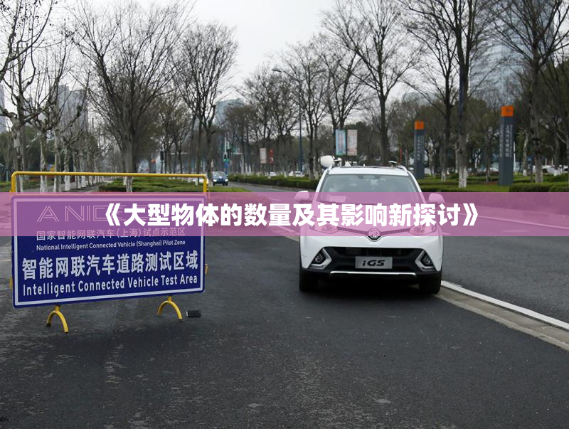 《大型物体的数量及其影响新探讨》