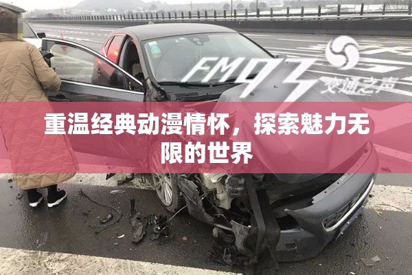 重温经典动漫情怀，探索魅力无限的世界