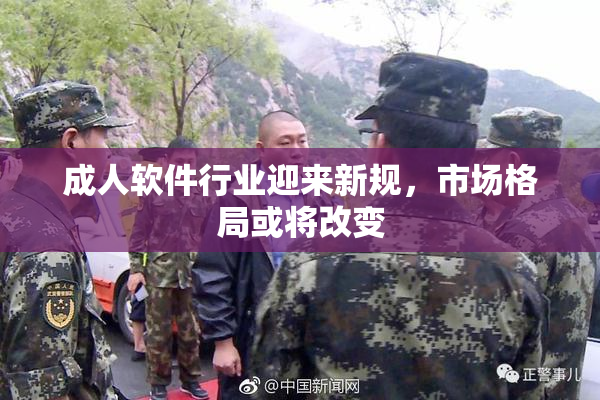成人软件行业迎来新规，市场格局或将改变