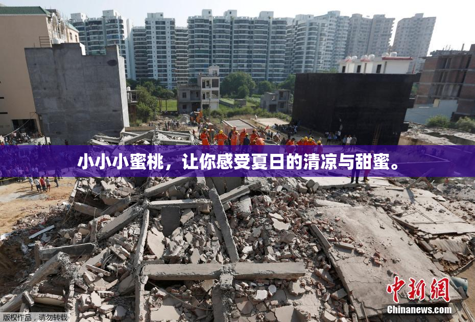 小小小蜜桃，让你感受夏日的清凉与甜蜜。