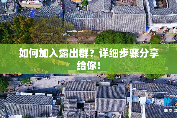如何加入露出群？详细步骤分享给你！