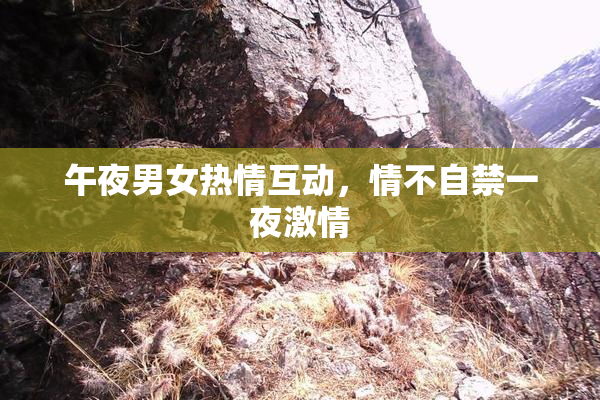 午夜男女热情互动，情不自禁一夜激情