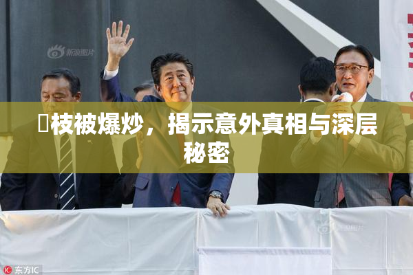 狛枝被爆炒，揭示意外真相与深层秘密