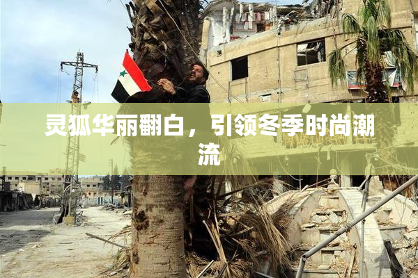 灵狐华丽翻白，引领冬季时尚潮流