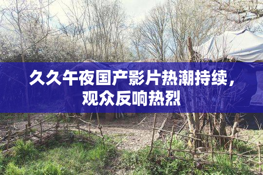 久久午夜国产影片热潮持续，观众反响热烈