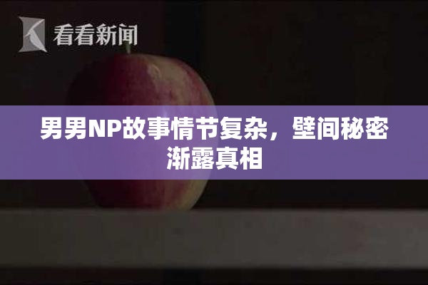 男男NP故事情节复杂，壁间秘密渐露真相