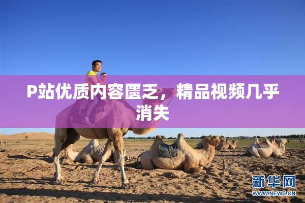 P站优质内容匮乏，精品视频几乎消失