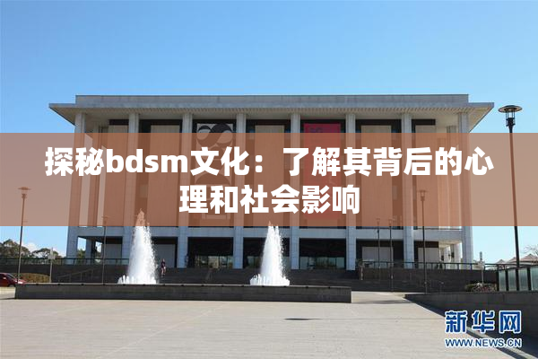 探秘bdsm文化：了解其背后的心理和社会影响