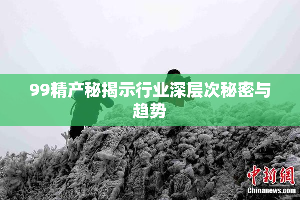 99精产秘揭示行业深层次秘密与趋势