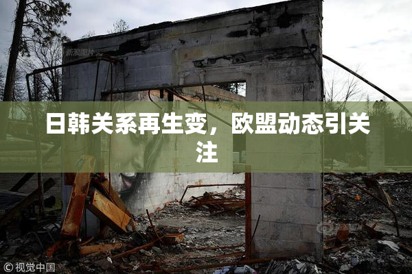 日韩关系再生变，欧盟动态引关注