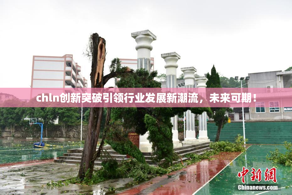chln创新突破引领行业发展新潮流，未来可期！