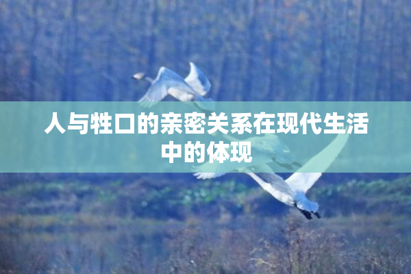 人与牲口的亲密关系在现代生活中的体现