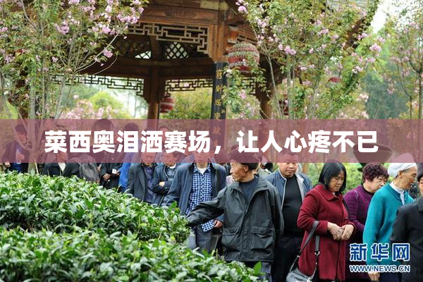 菜西奥泪洒赛场，让人心疼不已
