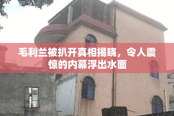 毛利兰被扒开真相揭晓，令人震惊的内幕浮出水面
