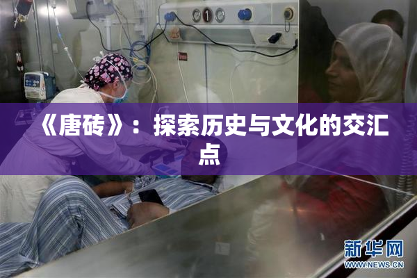 《唐砖》：探索历史与文化的交汇点