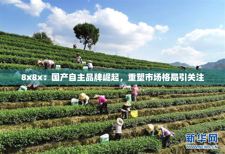 8x8x：国产自主品牌崛起，重塑市场格局引关注