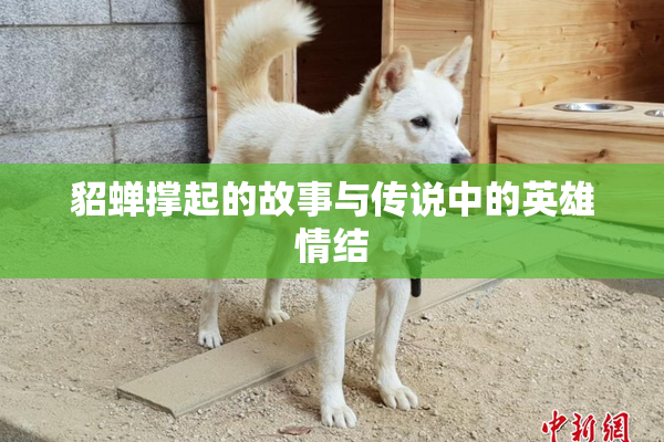 貂蝉撑起的故事与传说中的英雄情结