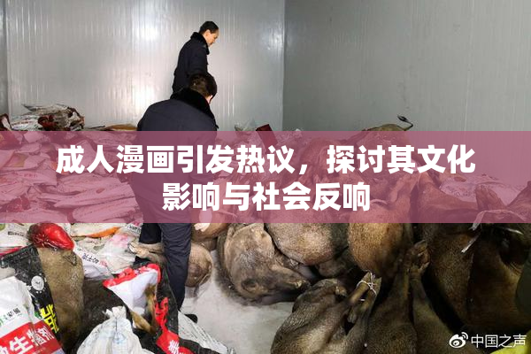 成人漫画引发热议，探讨其文化影响与社会反响