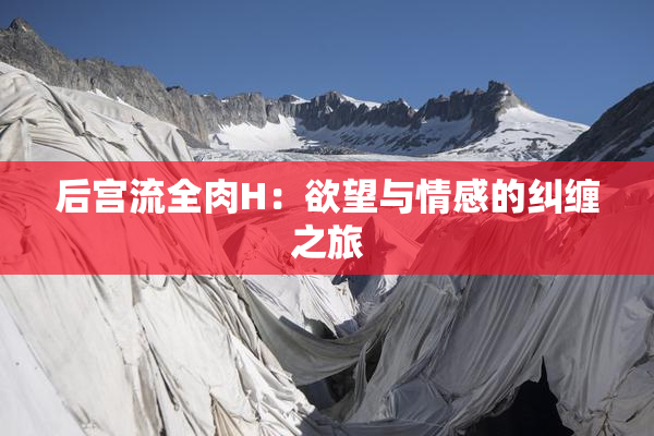 后宫流全肉H：欲望与情感的纠缠之旅