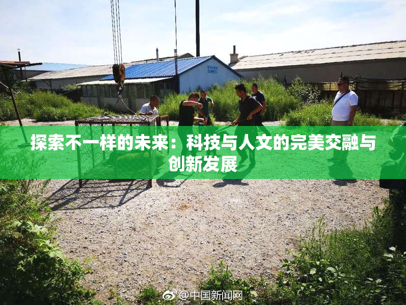 探索不一样的未来：科技与人文的完美交融与创新发展