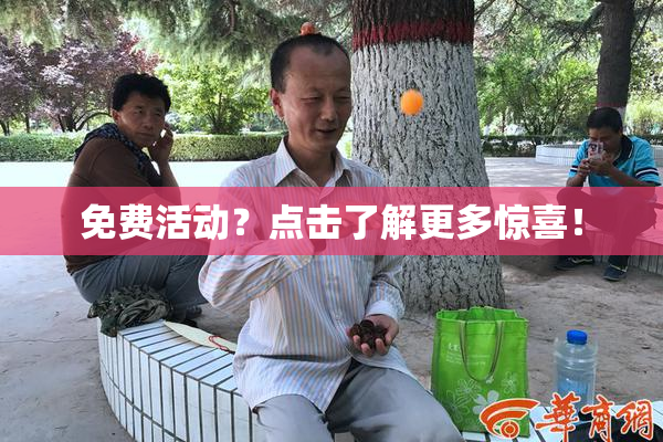 免费活动？点击了解更多惊喜！