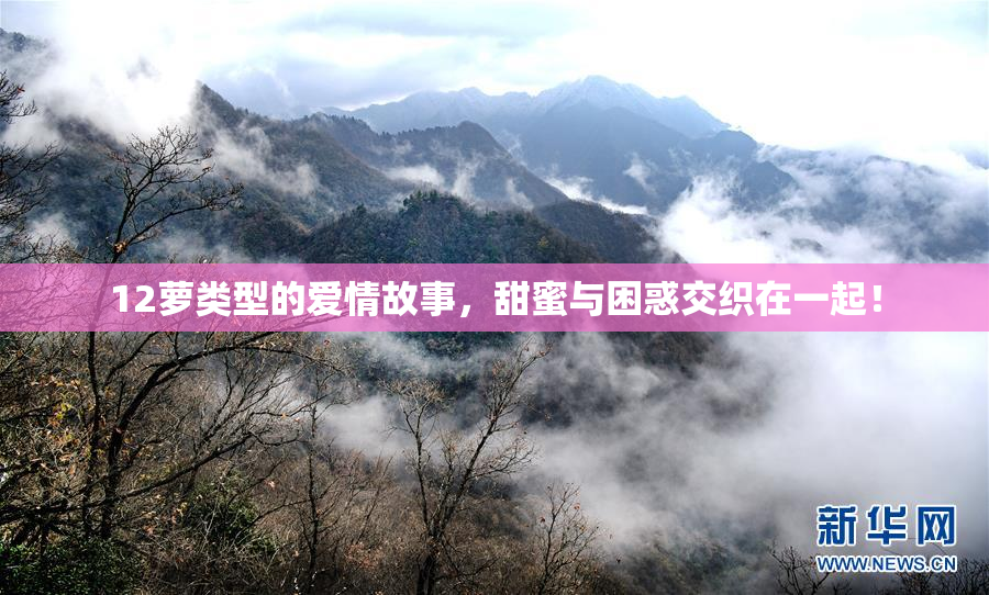 12萝类型的爱情故事，甜蜜与困惑交织在一起！
