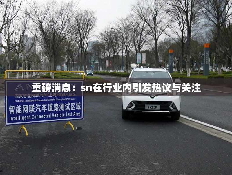 重磅消息：sn在行业内引发热议与关注
