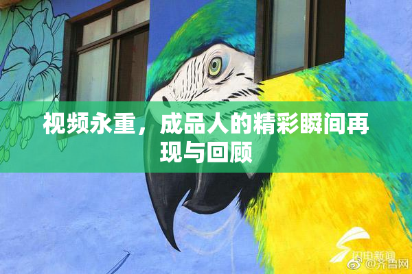 视频永重，成品人的精彩瞬间再现与回顾