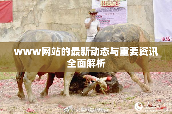 www网站的最新动态与重要资讯全面解析