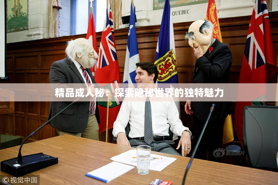 精品成人秘：探索隐秘世界的独特魅力